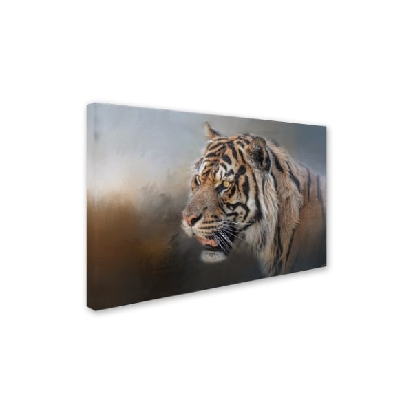 Jai Johnson 'Alert Bengal' Canvas Art,16x24